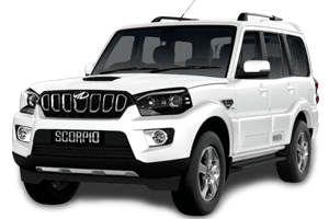 4WD Jeep Rental